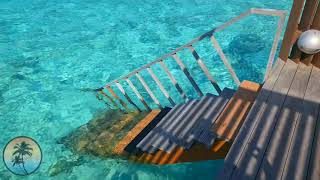 Villa NAUTICA Paradise Island Resort Maldives🔥  Water Villa with Whirlpool  Room TOUR HD [upl. by Alpert]