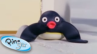 Pingas Lost Rabbit  Pingu Official  Cartoons for Kids [upl. by Fridlund]