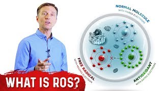 What Are Reactive Oxygen Species ROS  Dr Berg [upl. by Bass]