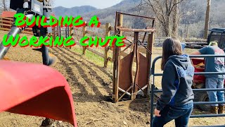 How to build a cattle chute [upl. by Emmie]