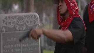 Bloods amp Crips  Shooting [upl. by Arihsan]