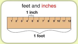 Measurement Feet and Inches [upl. by Ahserkal886]