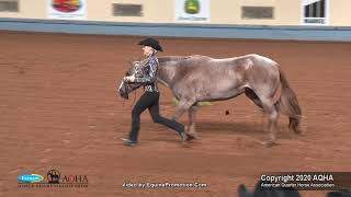 2020 AQHA Showmanship [upl. by Aytak]