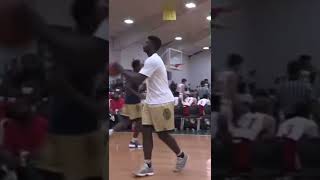 Zion Williamson 360 dunk [upl. by Eillim]