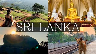 7 Days in Sri Lanka Vlog  Sigiriya Kandy Dambulla Galle Unawatuna Colombo [upl. by Granthem]