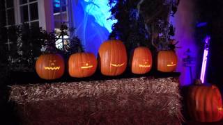 Mesmerizing 5 Pumpkin Singing Display  Must See Halloween Special [upl. by Alejo]