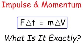 Introduction to Impulse amp Momentum  Physics [upl. by Atnauqahs739]