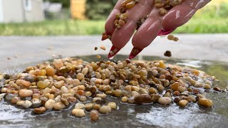 WET PEBBLES  Concrete Scratching  Outdoors ASMR [upl. by Harte]