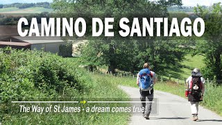 Camino de Santiago My Way to Santiago de Compostela amp The End of The World  a 1600km long journey [upl. by Nylatsirhc440]