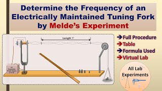 Meldes Experiment  Full Experiment  Practical File [upl. by Padraig975]