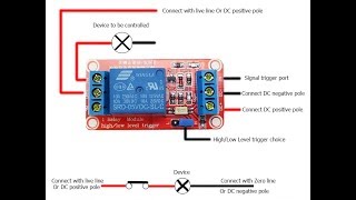 5V 1 Channel Level Trigger Optocoupler Relay Module For Arduino [upl. by Avitzur]