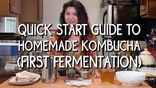 Quick Start Guide to Homemade Kombucha First Fermentation [upl. by Drofyar690]