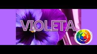 Como saco el Color Morado o Violeta [upl. by Albertina]