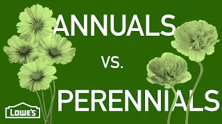 Annuals vs Perennials  Gardening Basics w William Moss [upl. by Ameen230]