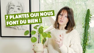 7 plantes bienêtre amp dépolluantes [upl. by Adnolrehs]