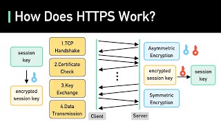 SSL TLS HTTPS Explained [upl. by Alius]