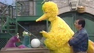 Sesame Street  Hatching a Honker Egg [upl. by Toth]