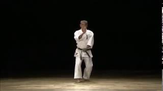 Okinawa Shorin Ryu Shubukan  9 Dan Uema Yasuhiro Sensei Katas [upl. by Moreville27]