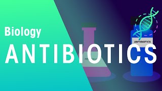 Animation of Antimicrobial Resistance [upl. by Gellman578]