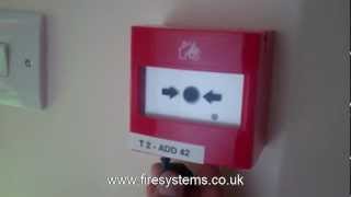 Fire Alarm Weekly Test  Fire Systems Ltd [upl. by Anneirb282]