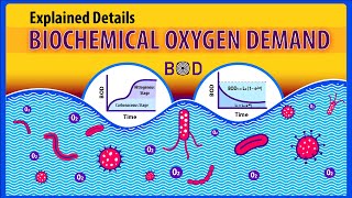 Biochemical Oxygen Demand BOD Explained details Animation [upl. by Hopkins]