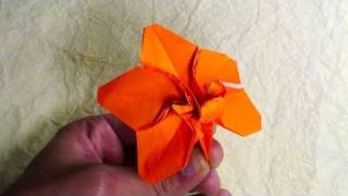 Origami Orchid Blossom Robert J Lang [upl. by Lime695]