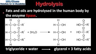 B3 Hydrolysis of lipids SL [upl. by Gnohc]