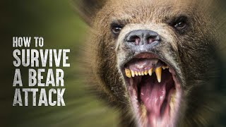 How to Survive a Bear Attack [upl. by Fife]