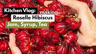 Roselle Hibiscus Harvesting making Jam Syrup amp Tea  Kitchen Vlog [upl. by Saree]