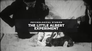 The Little Albert Experiment [upl. by Eeclehc392]