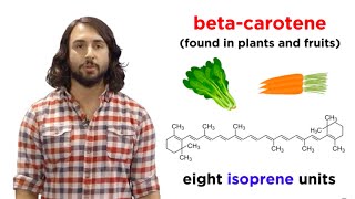 Lipids Part 1 TAGs Fatty Acids and Terpenes [upl. by Savage]