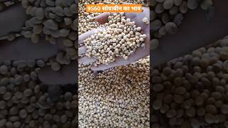 aagar Malwa Mandi soybean ka bhav  सोयाबीन का भाव आगर मालवा मंडी [upl. by Etteragram]