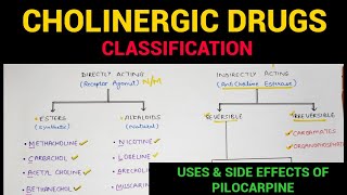 Autonomic Pharmacology  4  Cholinergic Drugs Classification  EOMS [upl. by Aziaf]