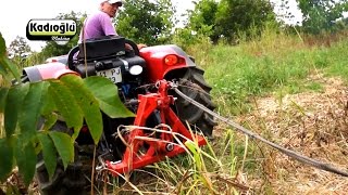 WALNUT TREE SHAKER MACHINE  VIBROPE [upl. by Ntisuj87]