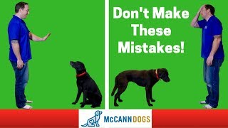 Teaching A Dog To quotStayquot 3 Common Mistakes  Professional Dog Training Tips [upl. by Kenwood]