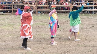 Corrida de toros Cómicos graciosos [upl. by Docile]