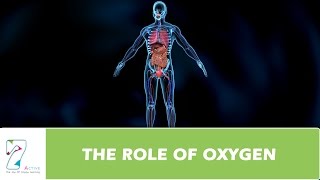 THE ROLE OF OXYGEN [upl. by Pilloff]