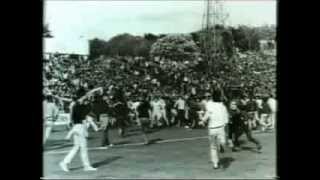 Football Hooligan Documentary [upl. by Taddeo]