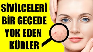 SİVİLCELERİ BİR GECEDE YOK EDEN KÜRLER [upl. by Deutsch]