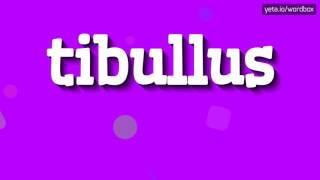 TIBULLUS  HOW TO PRONOUNCE IT [upl. by Elawalo12]