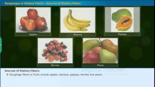 Roughages or Dietary Fibers Sources of Dietary Fibers Class 7 Biology [upl. by Agata]