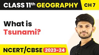 Tsunami  Natural Hazards and Disasters  Class 11 Geography [upl. by Yma781]