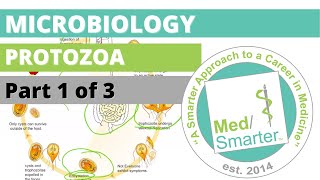 Protozoa  Microbiology  USMLE STEP 1  Part 1 of 3 [upl. by Leahkim86]