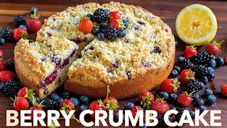 Easy Berry Crumb Cake Recipe [upl. by Eneluqcaj]