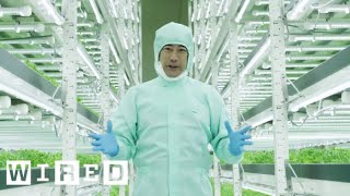 Tokyo’s Vertical Farms  The Future of Farming  WIRED [upl. by Matteo]