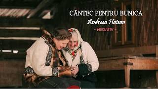 CANTEC PENTRU BUNICA NEGATIV  Andreea Haisan [upl. by Blinnie]