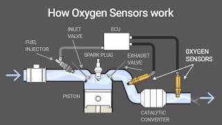 How O2 Oxygen Sensors Work Animation [upl. by Nilyad578]