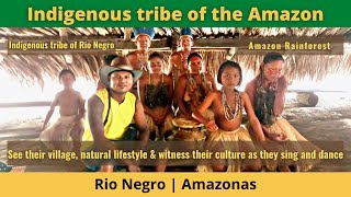 Brazil Travel  Indigenous tribe of the Amazon [upl. by Carbone189]