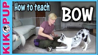 How to teach BOW  Dog Tricks tutorial [upl. by Jim]