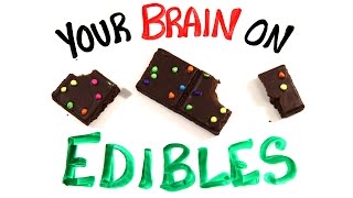 Your Brain On Edible Marijuana [upl. by Genna]